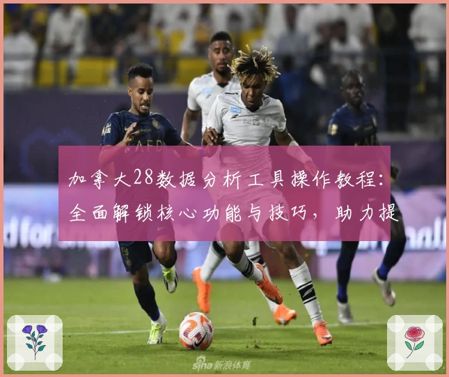 加拿大28数据分析工具操作教程：全面解锁核心功能与技巧，助力提升效率