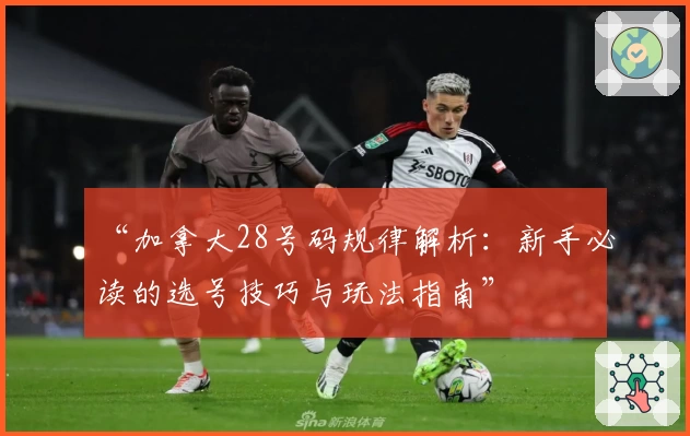 “加拿大28号码规律解析：新手必读的选号技巧与玩法指南”