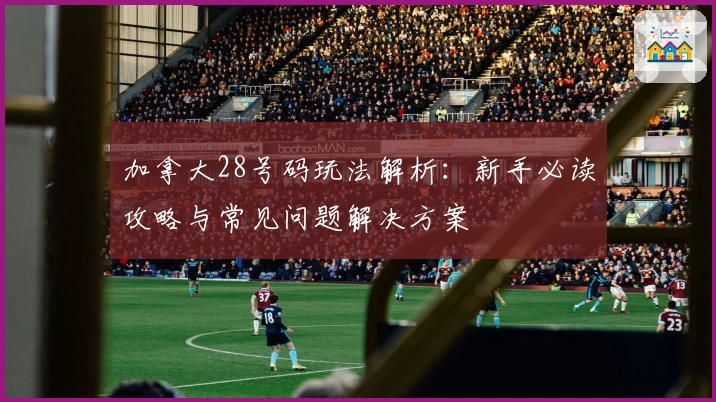加拿大28号码玩法解析:新手必读攻略与常见问题解决方案