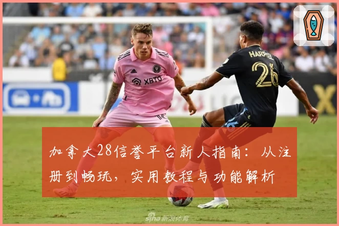 加拿大28信誉平台新人指南：从注册到畅玩，实用教程与功能解析