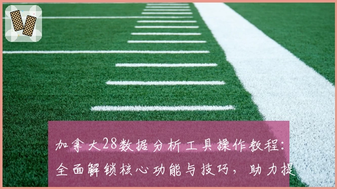 加拿大28数据分析工具操作教程：全面解锁核心功能与技巧，助力提升效率