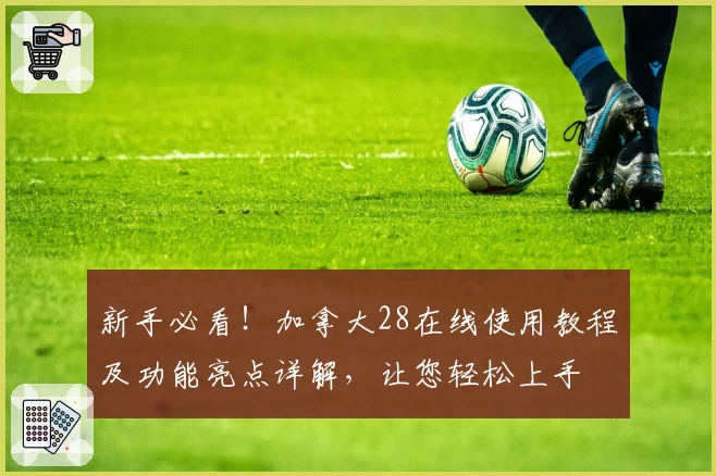 新手必看！加拿大28在线使用教程及功能亮点详解，让您轻松上手