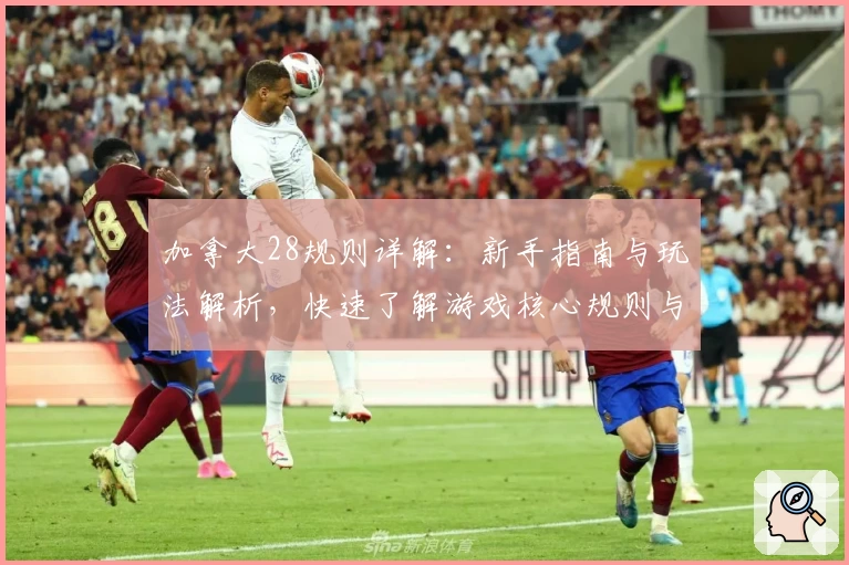 加拿大28规则详解：新手指南与玩法解析，快速了解游戏核心规则与注意事项