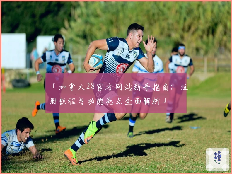 「加拿大28官方网站新手指南：注册教程与功能亮点全面解析」