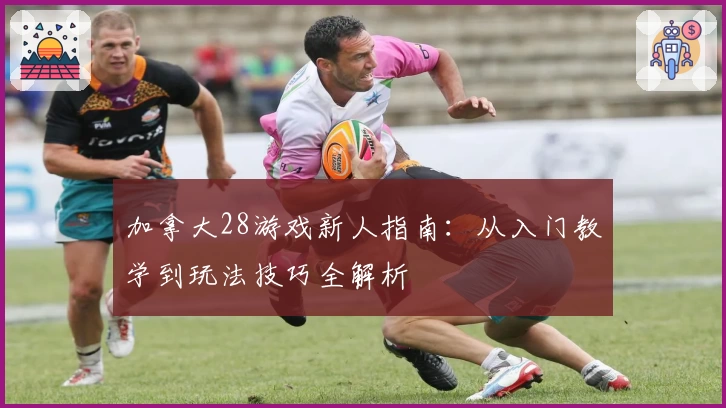 加拿大28游戏新人指南：从入门教学到玩法技巧全解析
