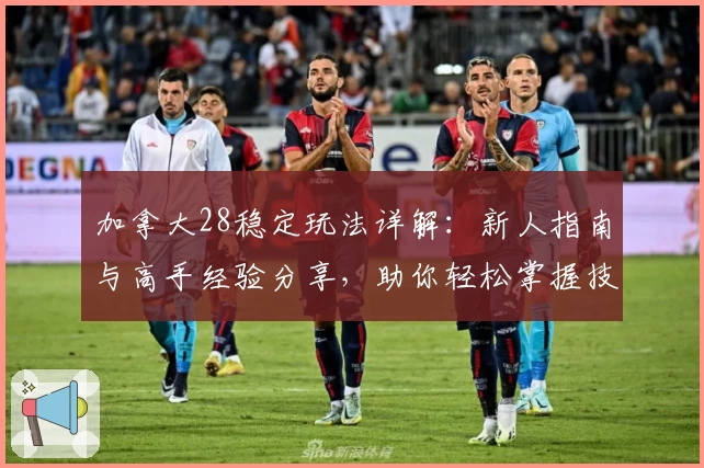 加拿大28稳定玩法详解：新人指南与高手经验分享，助你轻松掌握技巧与策略