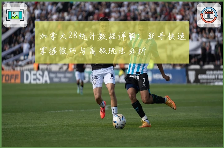 加拿大28统计数据详解：新手快速掌握技巧与高级玩法分析