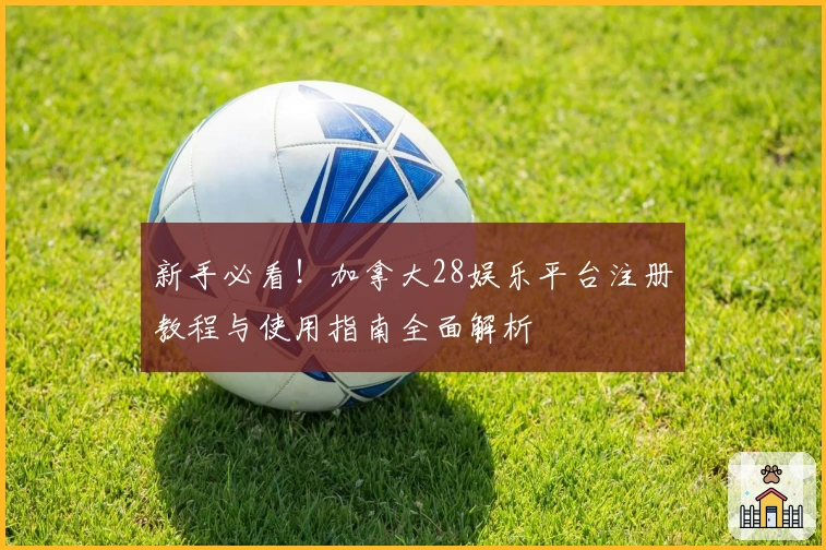 新手必看！加拿大28娱乐平台注册教程与使用指南全面解析