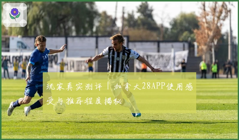 玩家真实测评|加拿大28APP使用感受与推荐程度揭秘