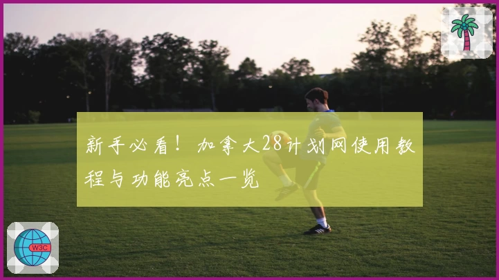 新手必看！加拿大28计划网使用教程与功能亮点一览