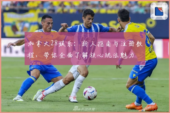 加拿大28娱乐：新人指南与注册教程，带你全面了解核心玩法魅力