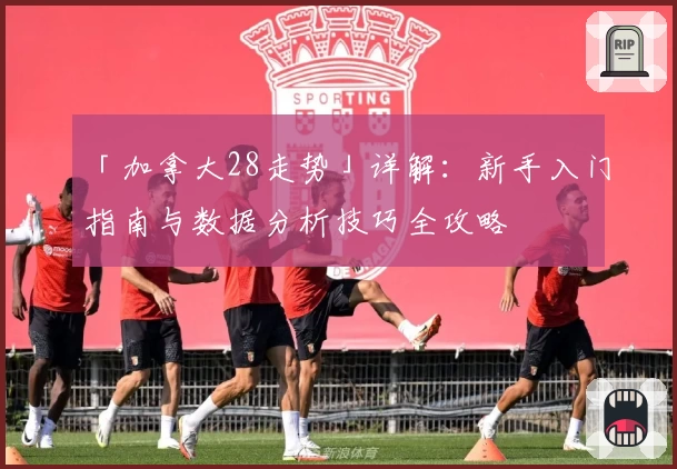「加拿大28走势」详解：新手入门指南与数据分析技巧全攻略