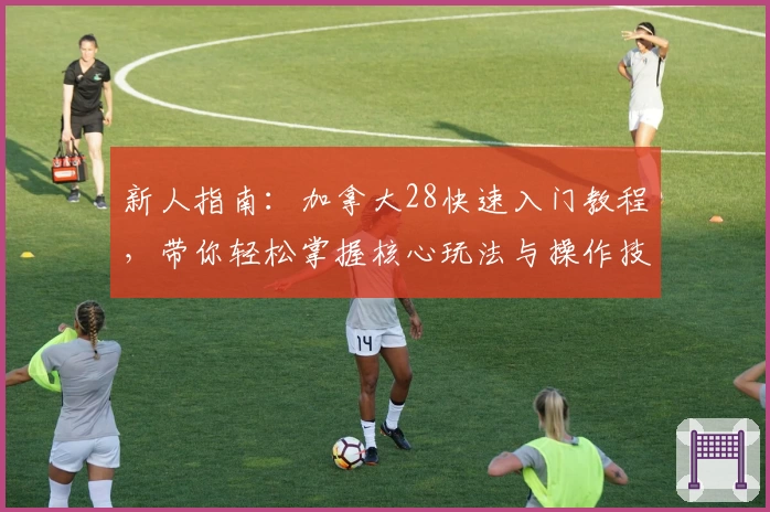 新人指南：加拿大28快速入门教程，带你轻松掌握核心玩法与操作技巧