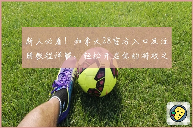 新人必看！加拿大28官方入口及注册教程详解，轻松开启你的游戏之旅