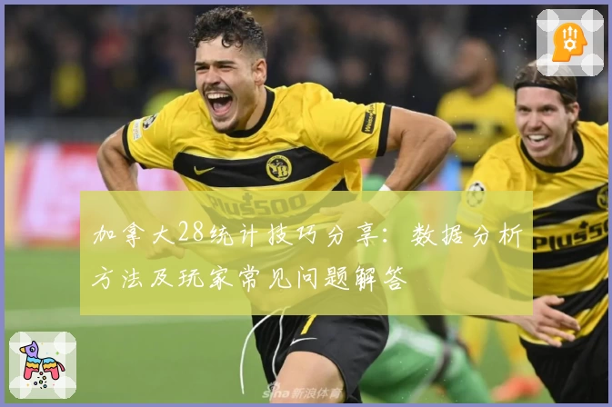 加拿大28统计技巧分享：数据分析方法及玩家常见问题解答
