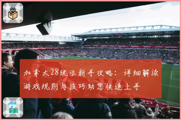 加拿大28玩法新手攻略：详细解读游戏规则与技巧助您快速上手