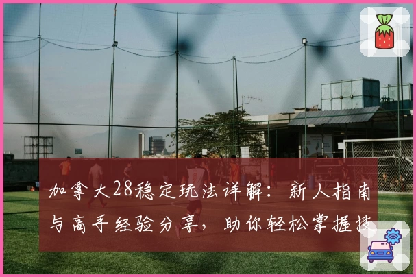 加拿大28稳定玩法详解：新人指南与高手经验分享，助你轻松掌握技巧与策略