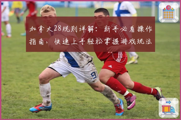 加拿大28规则详解：新手必看操作指南，快速上手轻松掌握游戏玩法要点