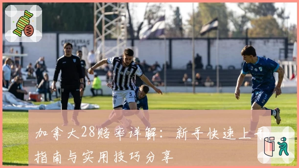 加拿大28赔率详解：新手快速上手指南与实用技巧分享