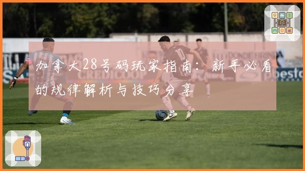 加拿大28号码玩家指南：新手必看的规律解析与技巧分享