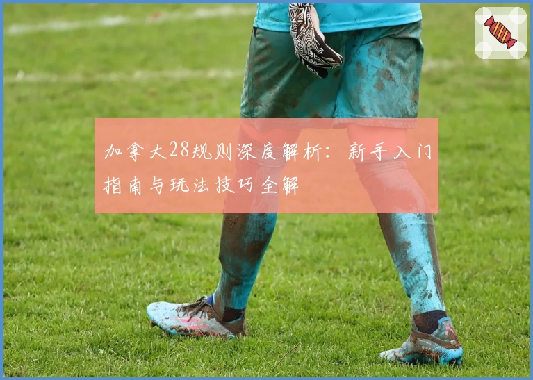 加拿大28规则深度解析：新手入门指南与玩法技巧全解