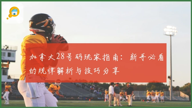 加拿大28号码玩家指南：新手必看的规律解析与技巧分享