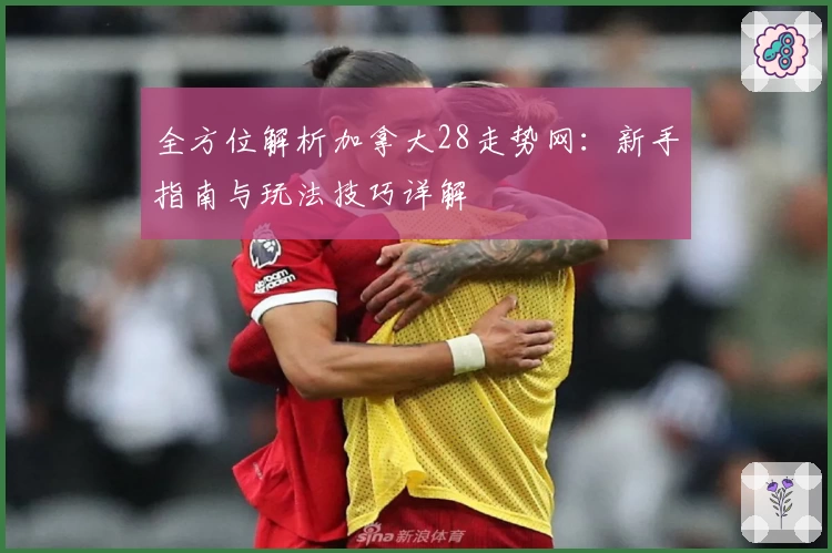 全方位解析加拿大28走势网：新手指南与玩法技巧详解