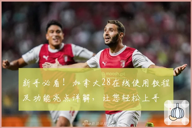 新手必看！加拿大28在线使用教程及功能亮点详解，让您轻松上手