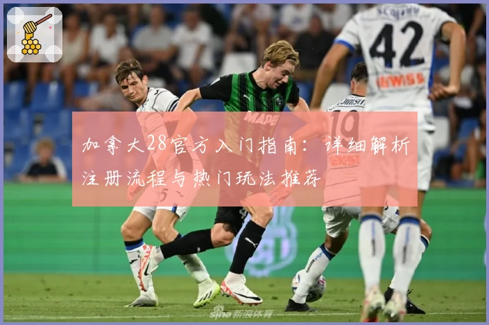 加拿大28官方入门指南：详细解析注册流程与热门玩法推荐