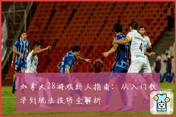 加拿大28游戏新人指南：从入门教学到玩法技巧全解析