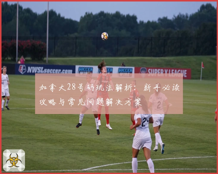 加拿大28号码玩法解析:新手必读攻略与常见问题解决方案