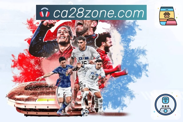 加拿大28 精彩赛事